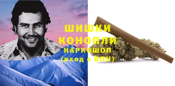 ГАЛЛЮЦИНОГЕННЫЕ ГРИБЫ Алексин