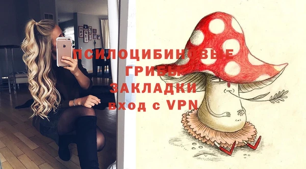 ГАЛЛЮЦИНОГЕННЫЕ ГРИБЫ Алексеевка