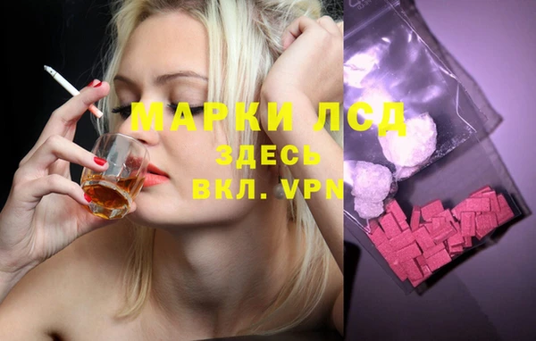 ГАЛЛЮЦИНОГЕННЫЕ ГРИБЫ Алексин