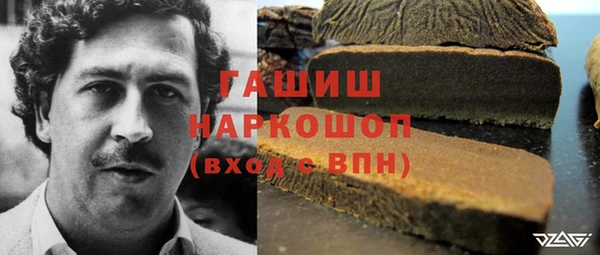 ГАЛЛЮЦИНОГЕННЫЕ ГРИБЫ Алексин