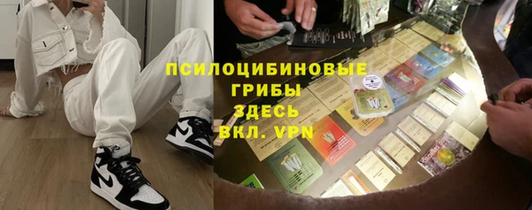 ГАЛЛЮЦИНОГЕННЫЕ ГРИБЫ Алексин