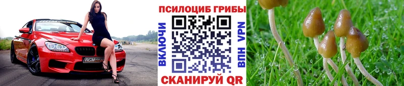 Галлюциногенные грибы мухоморы  даркнет сайт  Люберцы 
