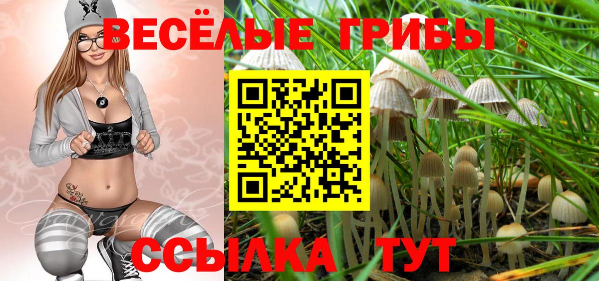 Альфа ПВП СК   LSD-25  Люберцы  МАРИХУАНА  Вход с VPN  МЕФ  