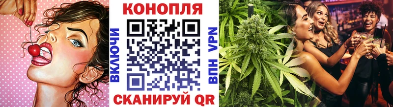 как найти   Люберцы  МАРИХУАНА сатива 